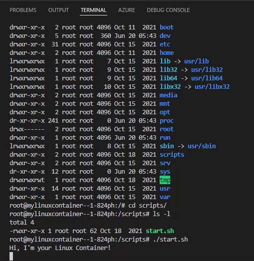 05_vs_code_file_system_attached_print