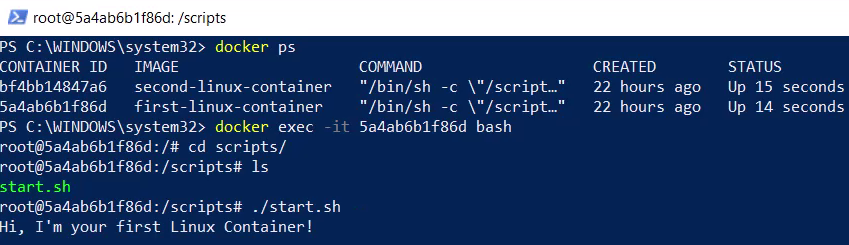 10_Docker-Exec-First-Linux-Container
